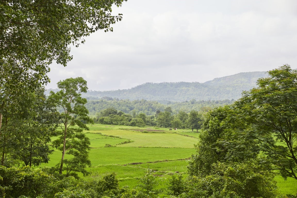Tattva View