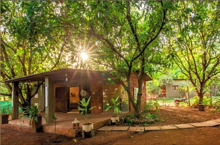 mango shack